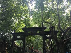 -杭州黄龙洞