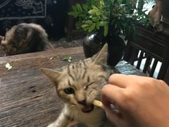 -老屋咖啡