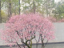 -芙贝佳禾·痘肌管理中心