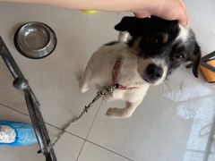 -平行世界·猫咖(首经贸店)