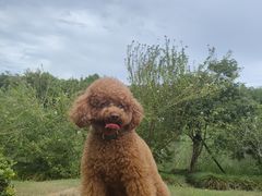 -萌兽医馆·宠物医院·猫骨科(创景店)