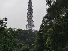 -天鹿湖森林公园