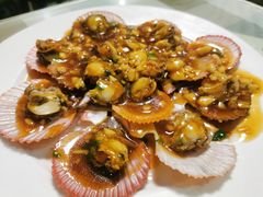 蚝油扇贝-华春餐馆(鱼山路店)