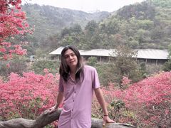 -木兰云雾山