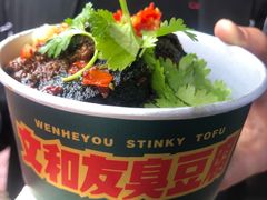 -董顺桃老长沙臭豆腐(步行街店)