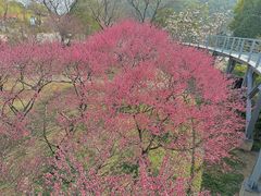 -无锡梅园公园