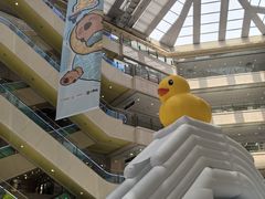 -光启城时尚购物中心