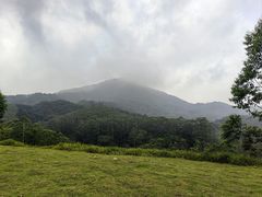 -黄埔油麻山森林公园