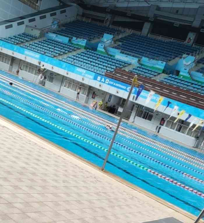 深圳游泳跳水馆图片