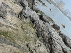 -黑石礁公园