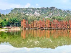 -星湖旅游景区七星岩