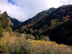 -叠溪松坪沟景区
