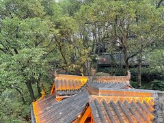 -巴倒烫陆派重庆火锅(南山店)