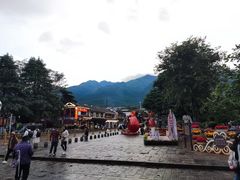 -白家寨子·山野白族菜(古城总店)