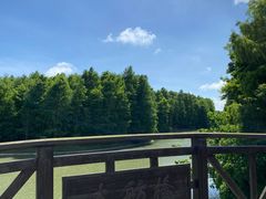 -上海海湾国家森林公园