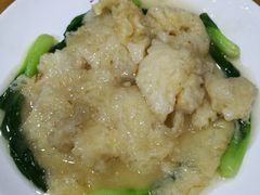 白扒广肚-黄家老店·非遗灌汤包(晋安路店)