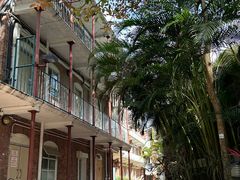 -香港大学