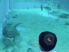 -北戴河圣蓝海洋公园