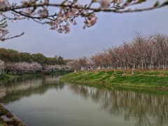 -上海海湾国家森林公园