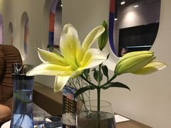 -赫帝拉航空主题餐厅(南宁店)
