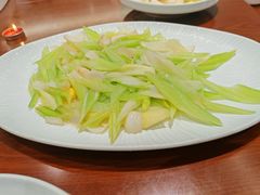 -丁老爷子苏香圆