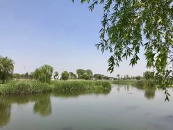 -水八仙生态园