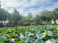 -惠州西湖风景名胜区-丰渚园