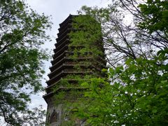 -玲珑塔公园