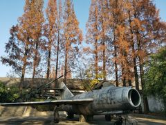 -枫泾古镇-人民公社旧址