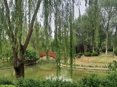 -燕郊植物园