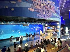 -烟台海昌鲸鲨海洋公园