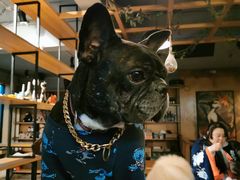 -萌喵咖啡屋(人民东路4号口M16商铺店)