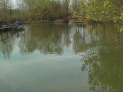 -溱湖国家湿地公园