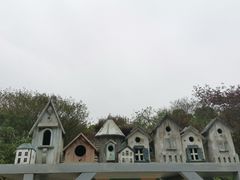 -秀丽东方