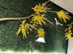 -茉莉餐厅(亳州高新万达广场希夷大道店)