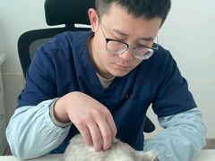 -派美特宠物医院·核磁CT·骨科肿瘤·疑难转诊(沈农禾丰店)