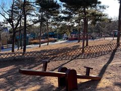 -北京西山国家森林公园