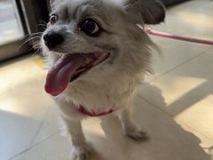 -宠颐生汉谟拉比宠物医院