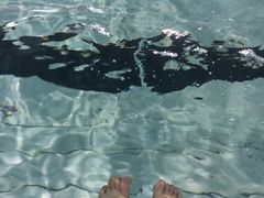 -五台山南京工业大学游泳馆(江浦馆)