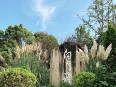 -白鹭湾湿地公园