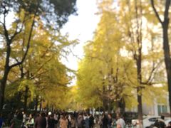 -星巴克(成都龙湖三千集店)