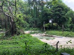 -深圳野生动物园