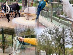 -水上乐园·欢乐世界