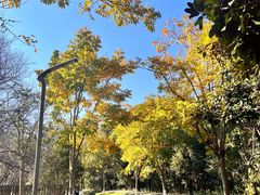 -昆山城市生态森林公园