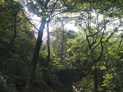 -龙湾潭国家森林公园