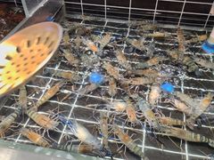 -海玥荟海鲜姿造自助餐厅(欧罗巴广场店)