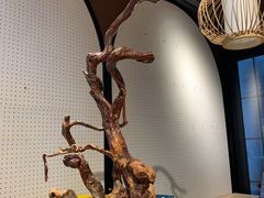 -光海书局(南京东路第一百货店)