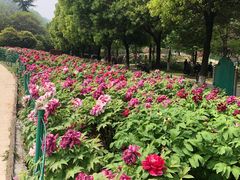 -幕燕滨江·长江观音景区