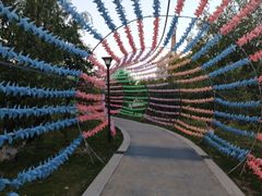 -祥源·阜阳生态乐园