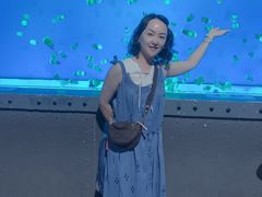 -大连圣亚海洋世界